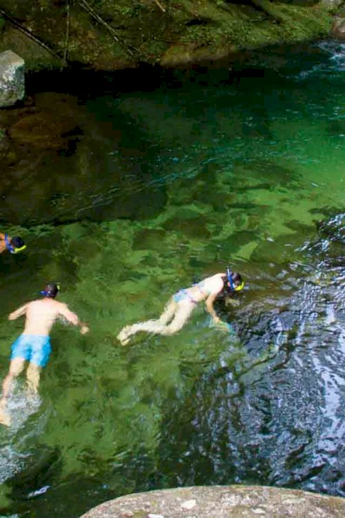 Snorkling rio cangrejal