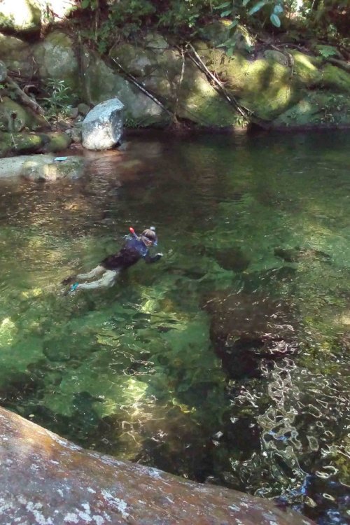 Snorkling rio cangrejal 2
